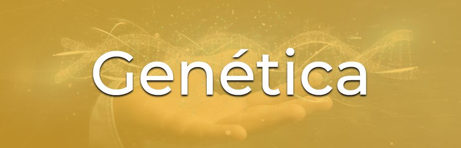Genética